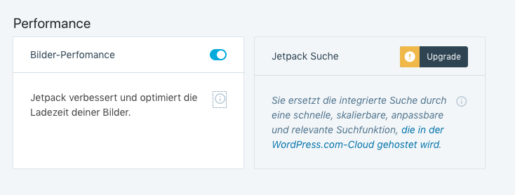 Screenshot des Performancebereichs der kostenfreien Version von Jetpack mit zwei Auswahlfeldern